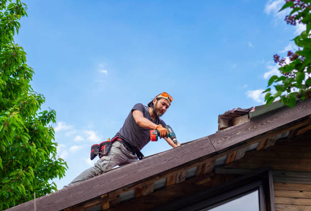 Best Emergency Roof Repair Services  in Lmer Heights, PA