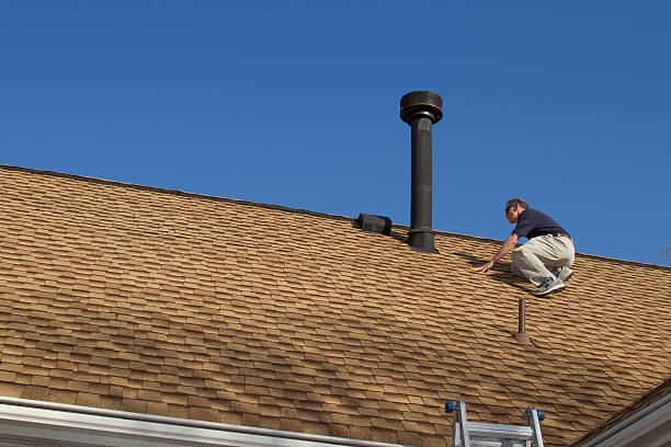 Best Roof Moss and Algae Removal  in Lmer Heights, PA