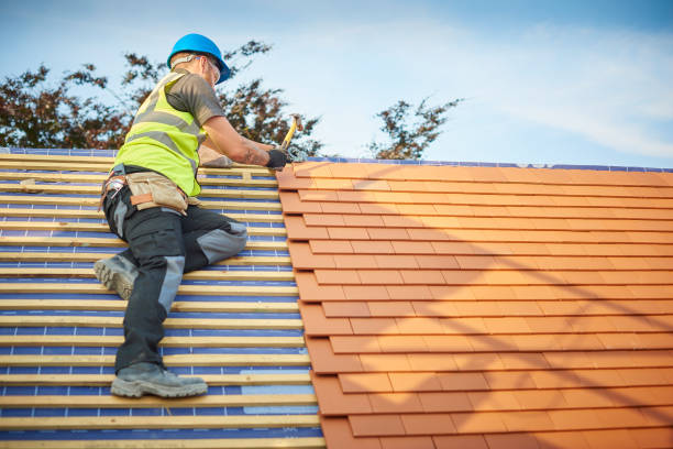 Best Roof Maintenance and Cleaning  in Lmer Heights, PA